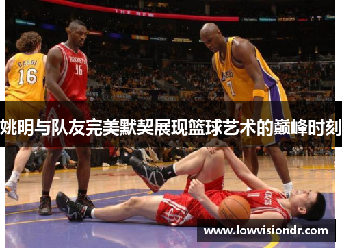 姚明与队友完美默契展现篮球艺术的巅峰时刻